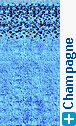 Toile de piscine Champagne