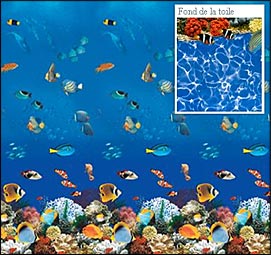 Piscine de Surface Concerto