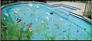 Piscine Semi-Creus&eacute;e 2